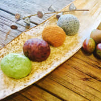 A rainbow of flavor: Colorful ohagi mochi (glutinous rice covered with flavored toppings) | SENDAI DANGO ICHIFUKU