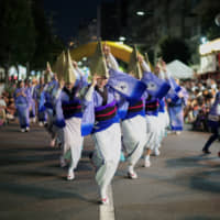 Female members of the Hanamichi-ren dance group perform during the first day of the 63rd annual Koenji Awa Odori on Saturday. More than 1 million people were expected to gather in Koenji, in Tokyo\'s Suginami Ward, during the two days of the festival. The annual event, which originated in Shikoku\'s Tokushima Prefecture, sees dance troupes parade through the streets to the accompaniment of drums, flutes and shamisen. | RYUSEI TAKAHASHI