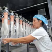 An employee works on a medical glove production line at a factory in Huaibei in China\'s eastern Anhui province on Aug. 14. | AFP-JIJI