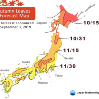 The arrival of the autumn foliage season may be pushed back because of this year\'s continuing summer heat, according to experts\' predictions. | JAPAN METEOROLOGICAL CORP.
