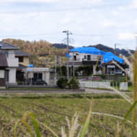 Blue plastic sheets covering damaged roofs are seen on Wednesday in Minamiboso, Chiba Prefecture. | CHISATO TANAKA