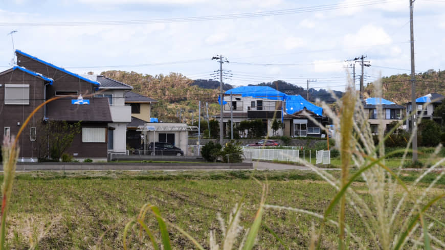 Blue plastic sheets covering damaged roofs are seen on Wednesday in Minamiboso, Chiba Prefecture. | CHISATO TANAKA