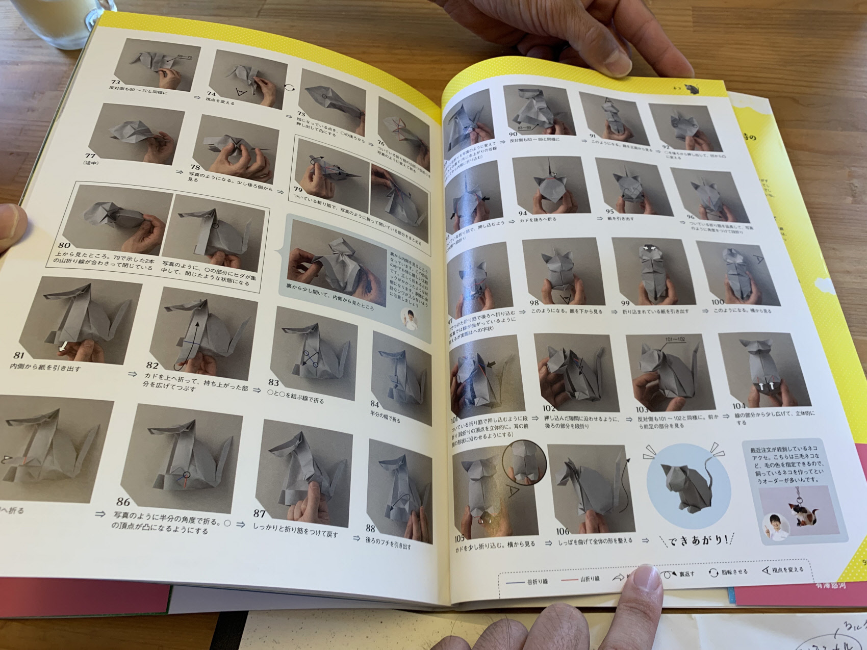 An origami instruction book by Yuga Arisawa offers detailed instructions on the folding processes used to creating origami animals. | CHUNICHI SHIMBUN