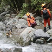 Rescuers and a rescue dog search a river near a camp site in Doshi, Yamanashi Prefecture, on Tuesday, after a 7-year-old girl went missing on Saturday. | KYODO
