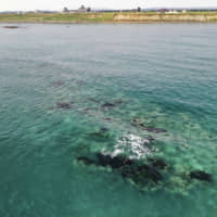 Esanbe Hanakita Kojima is an uninhabited outcropping about 500 meters off the coast of Hokkaido. | ?¯