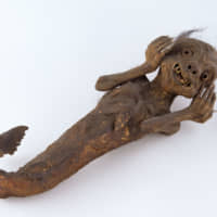 A mummified \"mermaid\" from the Mermaid Collection at the Nationaal Museum van Wereldculturen | NATIONAAL MUSEUM VAN WERELDCULTUREN