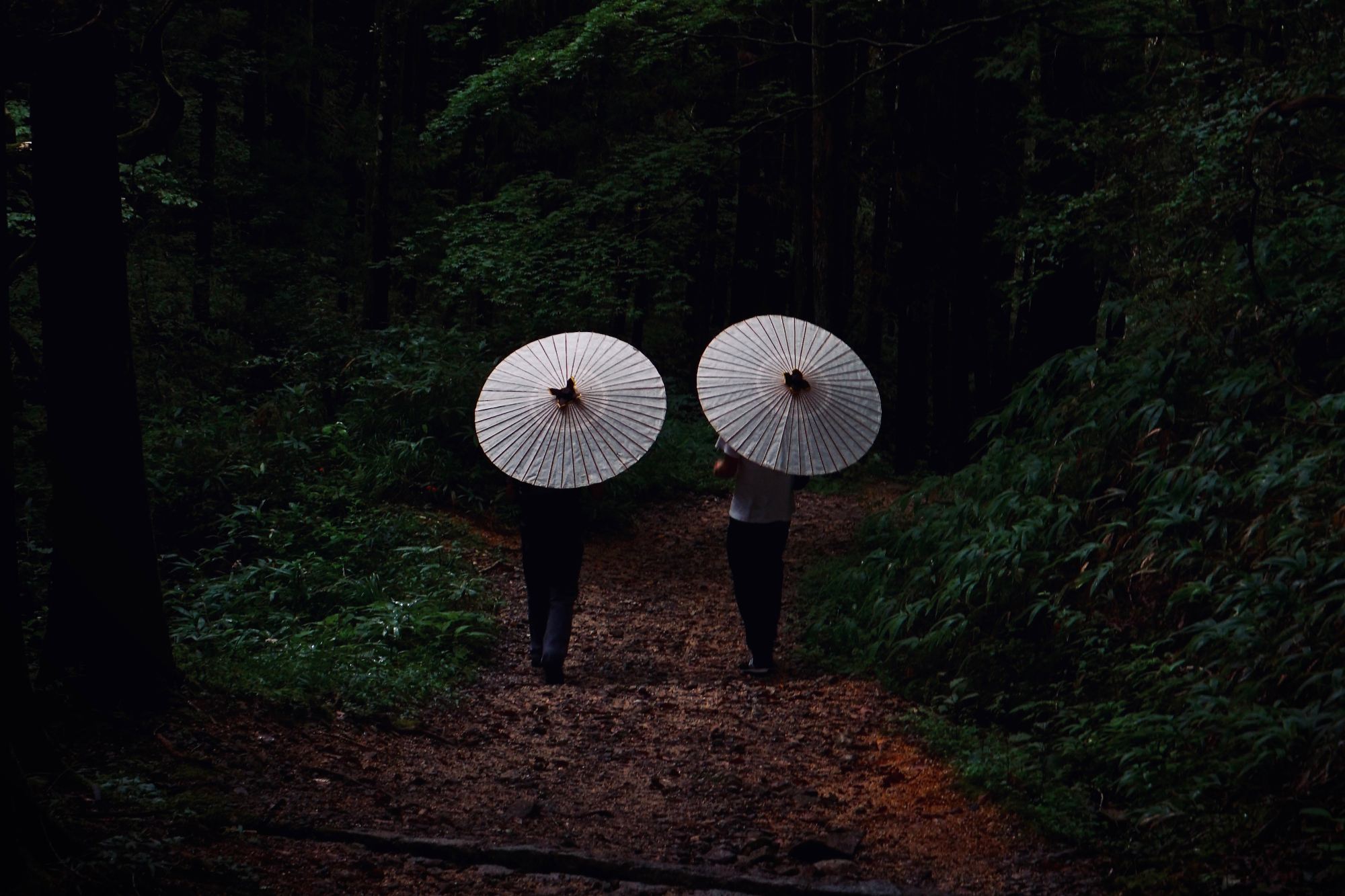 Long way round: Visitors carrying wax-paper umbrellas walk the Edo Period Nakasendo trail between the post towns of Magome and Tsumago. | OSCAR BOYD