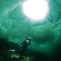 Frigid: A diver swims beneath the sea ice that travels to the Shiretoko Peninsula from Russia each winter. | HIROSHI NISHIMURA