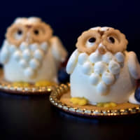 Juccheim\'s new Fukuro no Fuyu Jitaku owl-shaped cake | HARUKA MURAYAMA