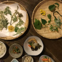 Mountain-to-table: Rice, pickles and tempura wild plants form the foundation of this plant-based meal from Ehime Prefecture. | MOMOKO NAKAMURA