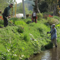 People cut grass around the historical Arishima Irrigation Channel in Niseko, Hokkaido. | TOWN OF NISEKO