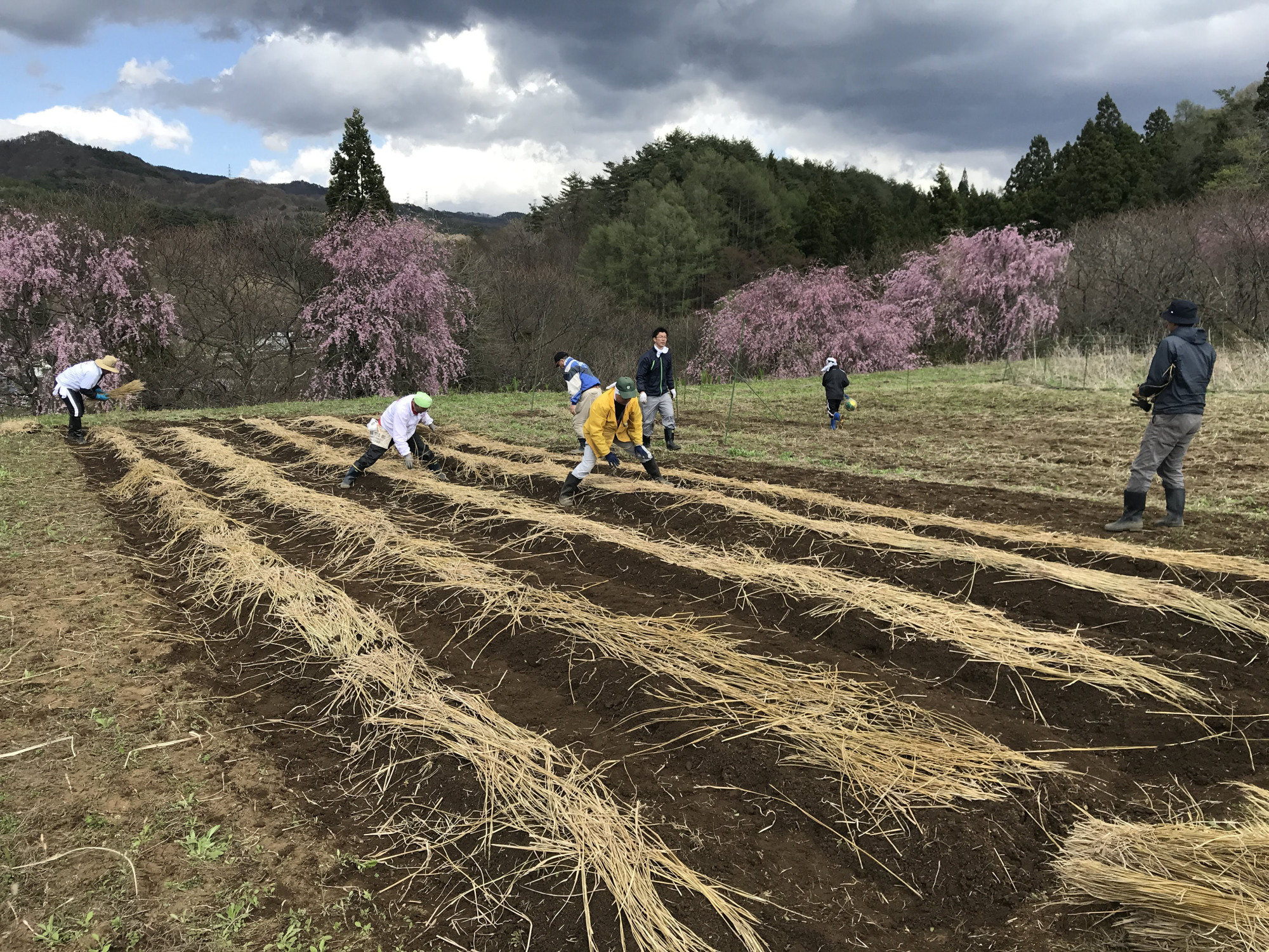 Japan Times