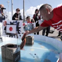 An octopus at a port in Obira, Hokkaido on Friday \"predicts\" how the Japan national team will perform at the upcoming Rugby World Cup. | KYODO