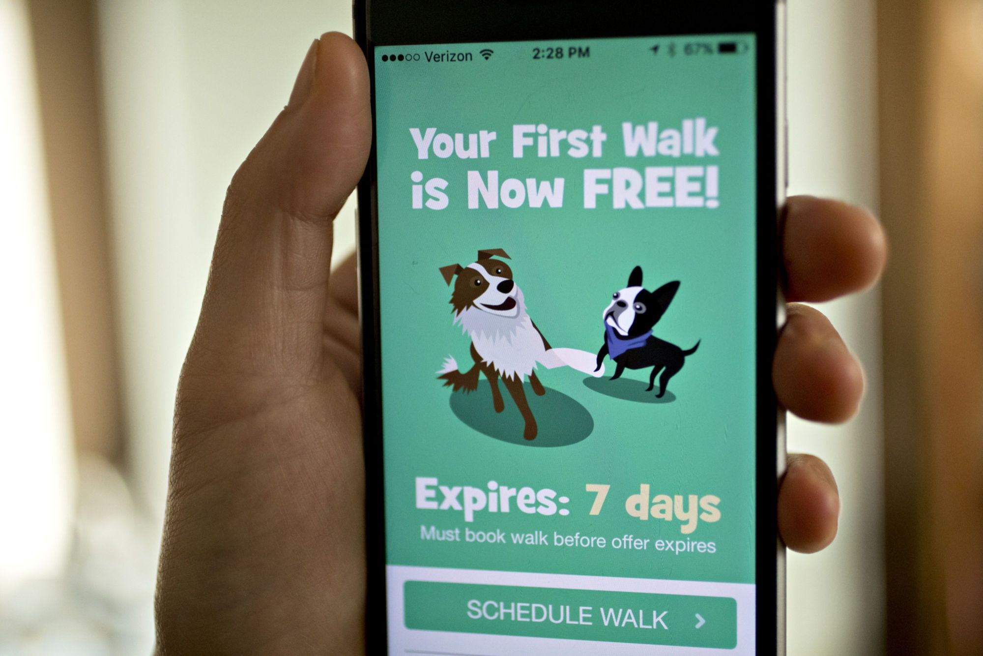 Softbank dog hot sale walking