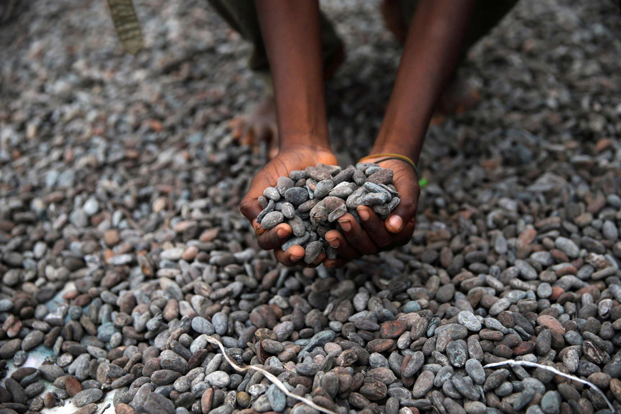 A farmer spreads cocoa beans to dry in Nigeria. | REUTERS