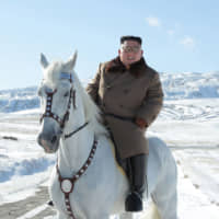 North Korean leader Kim Jong Un rises a white horse in the first snow at Mouth Paektu in this undated picture released last week. Vessels involved in the North\'s export of coal, which is banned under U.N. resolutions, have made repeated port calls in Japan, a report said Sunday. | KCNA / VIA AFP-JIJI