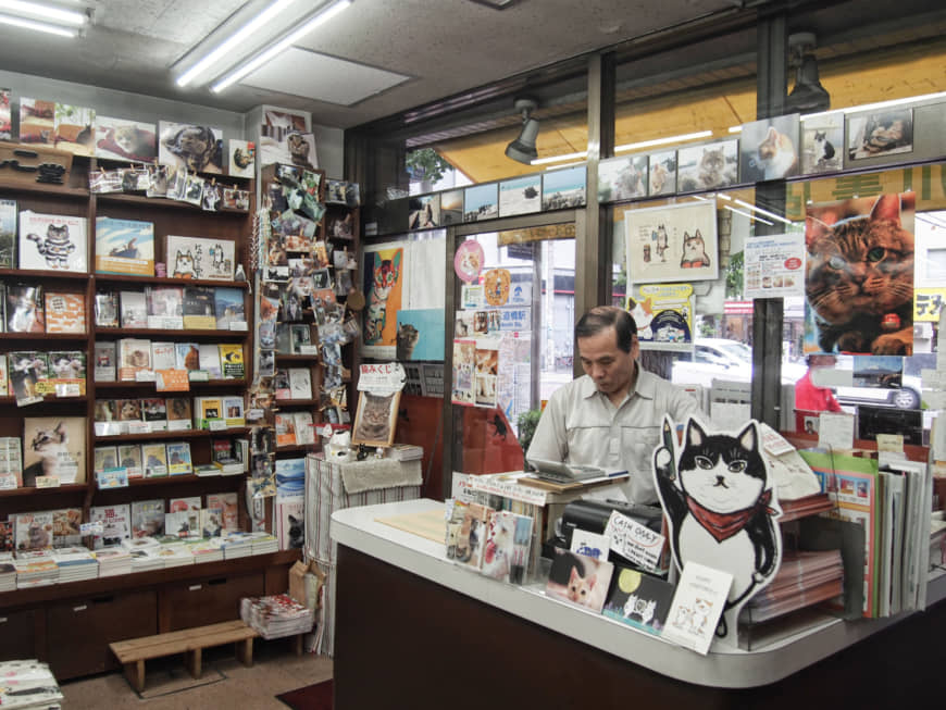 Nyankodo stocks more than 2,000 titles on cats and feline issues. | MANAMI OKAZAKI