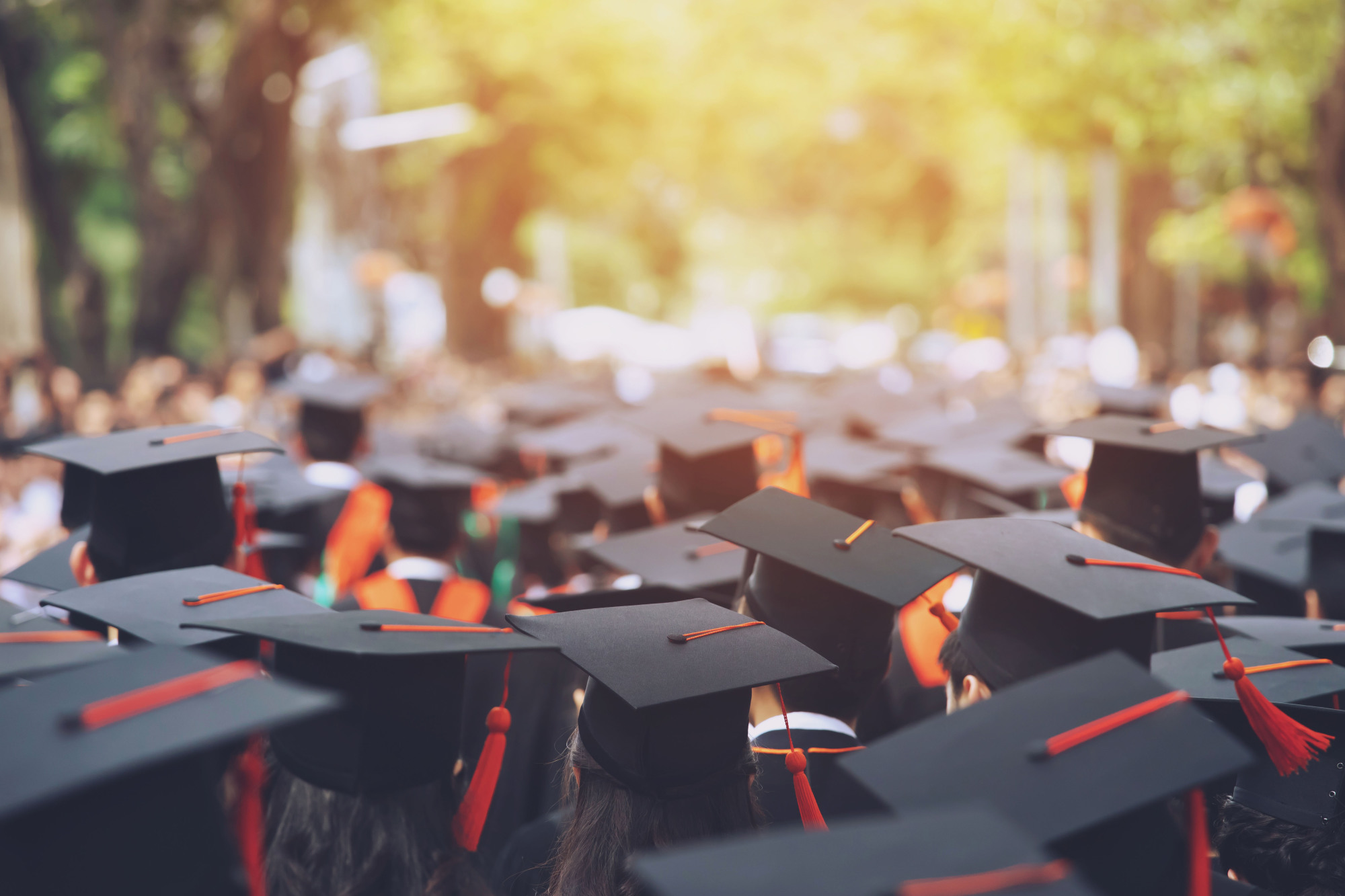 Success in Society 5.0 requires a different kind of education than that now taught in Japanese universities. | ISTOCK