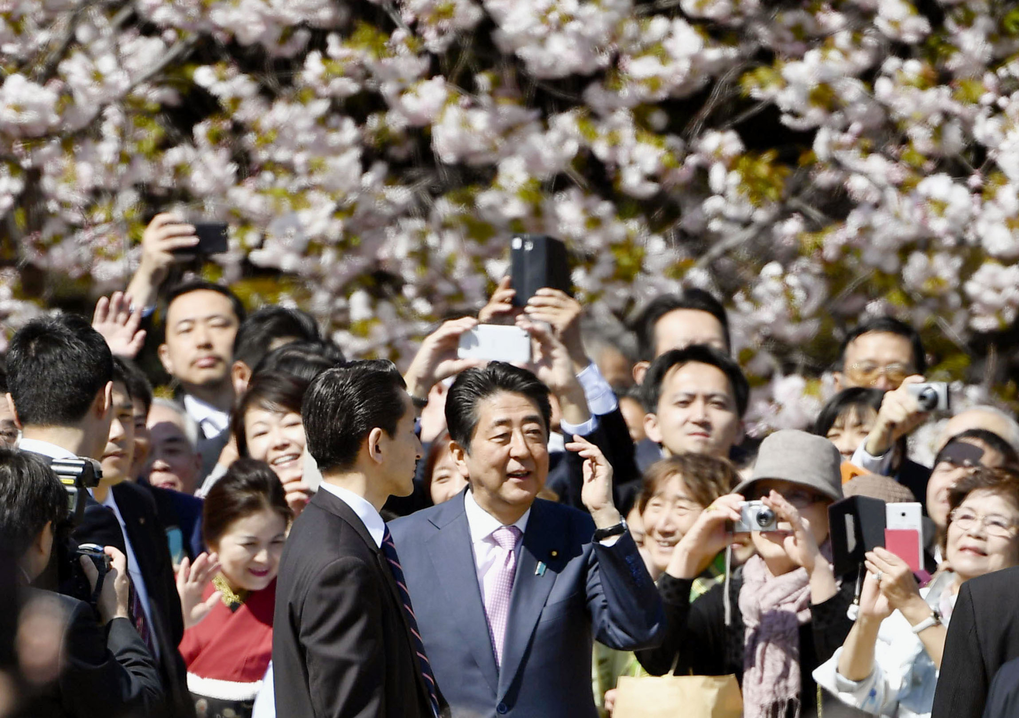 Prime Minister Shinzo Abe is surrounded by guests during a cherry blossom-viewing event in April in Tokyo. | KYODO