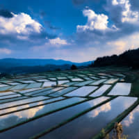 Rice terraces in Kunugidaira, Asahi, Yamagata Prefecture, taken by Naoki Asano | RIKO MONMA
