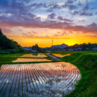 Misato, Kumamoto Prefecture, taken by Kyosuke Yonemura | RIKO MONMA