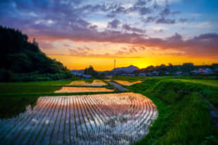 Misato, Kumamoto Prefecture, taken by Kyosuke Yonemura