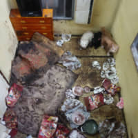Miyu Kojima\'s model of a room overflowing with trash where three cats were also found. | ALEX MARTIN