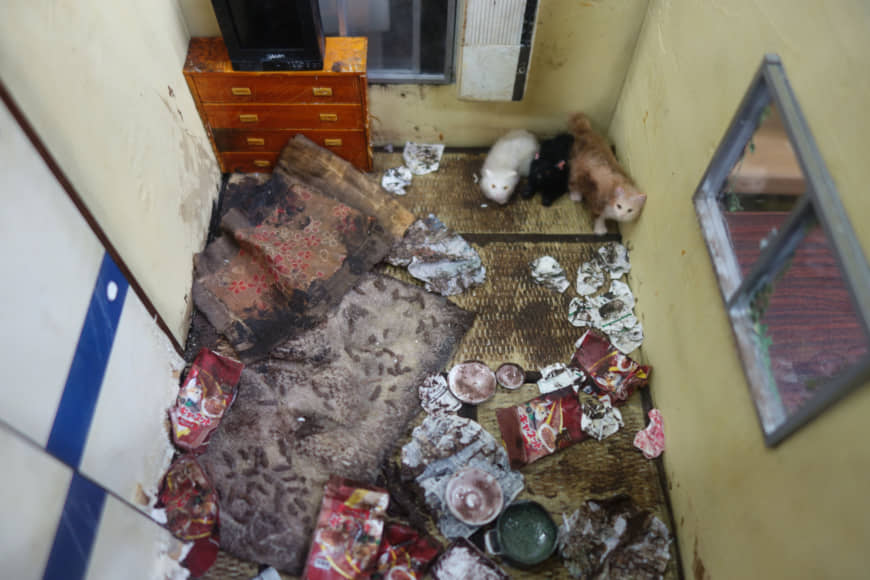 Miyu Kojima's model of a room overflowing with trash where three cats were also found. | ALEX MARTIN