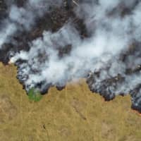Part of the Amazon jungle is burned in Porto Velho, in the Brazilian state of Rondonia, on Aug. 24. | REUTERS