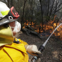 A firefighter controls a backburn near Mangrove Mountain, north of Sydney on Sunday. Hot dry conditions have brought an early start to the fire season. | AP