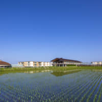 Shonai Hotel Suiden Terrasse, operated by Tsuruoka-based venture Yamagata Design, was designed by world-famous architect Shigeru Ban to offer visitors a semblance of an agricultural lifestyle. | HIROYUKI HIRAI