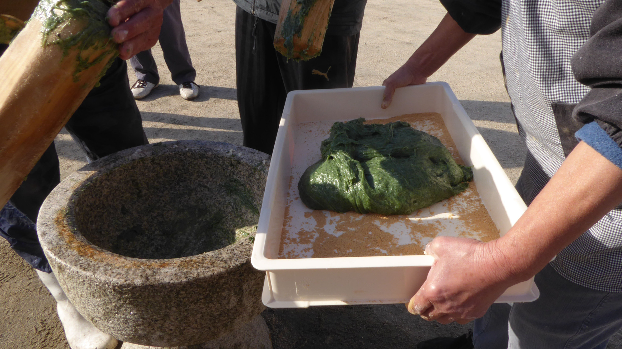 The good-tasting glob: Rich in calcium and iron, mugwort is added to the mochi rice mix to create a vivid green hue that will be made into o-mogi rice cakes. | AMY CHAVEZ