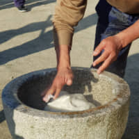 Think fast: The referee\'s hands fold a gooey lump of rice while it is hammered into a \'mochi\' rice cake. He must work fast in order not to break the rhythm of the mallets. | AMY CHAVEZ