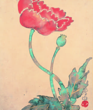 Nakamura Hochu's 'July, Poppy (from the 'Album of Flowering Plants of the Twelve Months')' (18-19th century) | COLLECTION OF HOSOMI MUSEUM