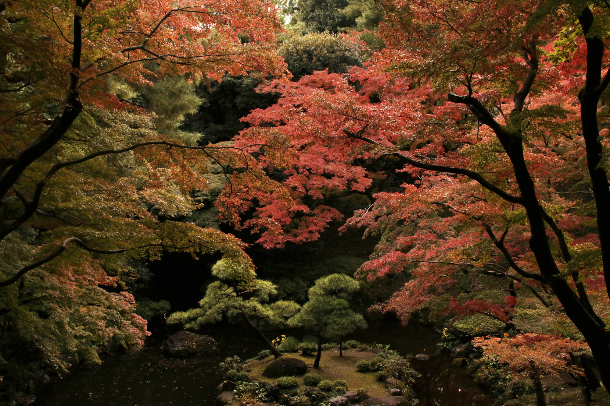 Japan Times