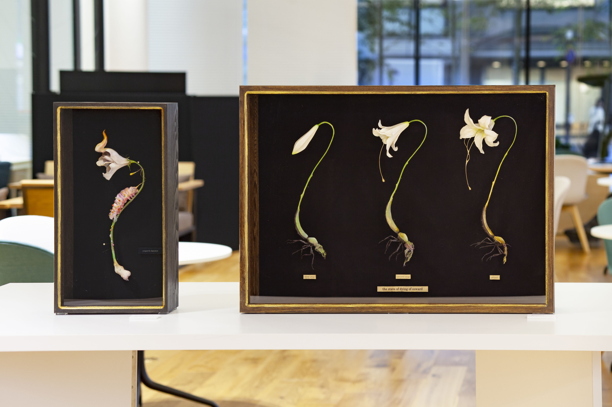 Yurie Kawagoe's 'Conquest by Dependant' (left) and 'The State of Dying of Coward III' (2017) | YUKI NAKAZAWA