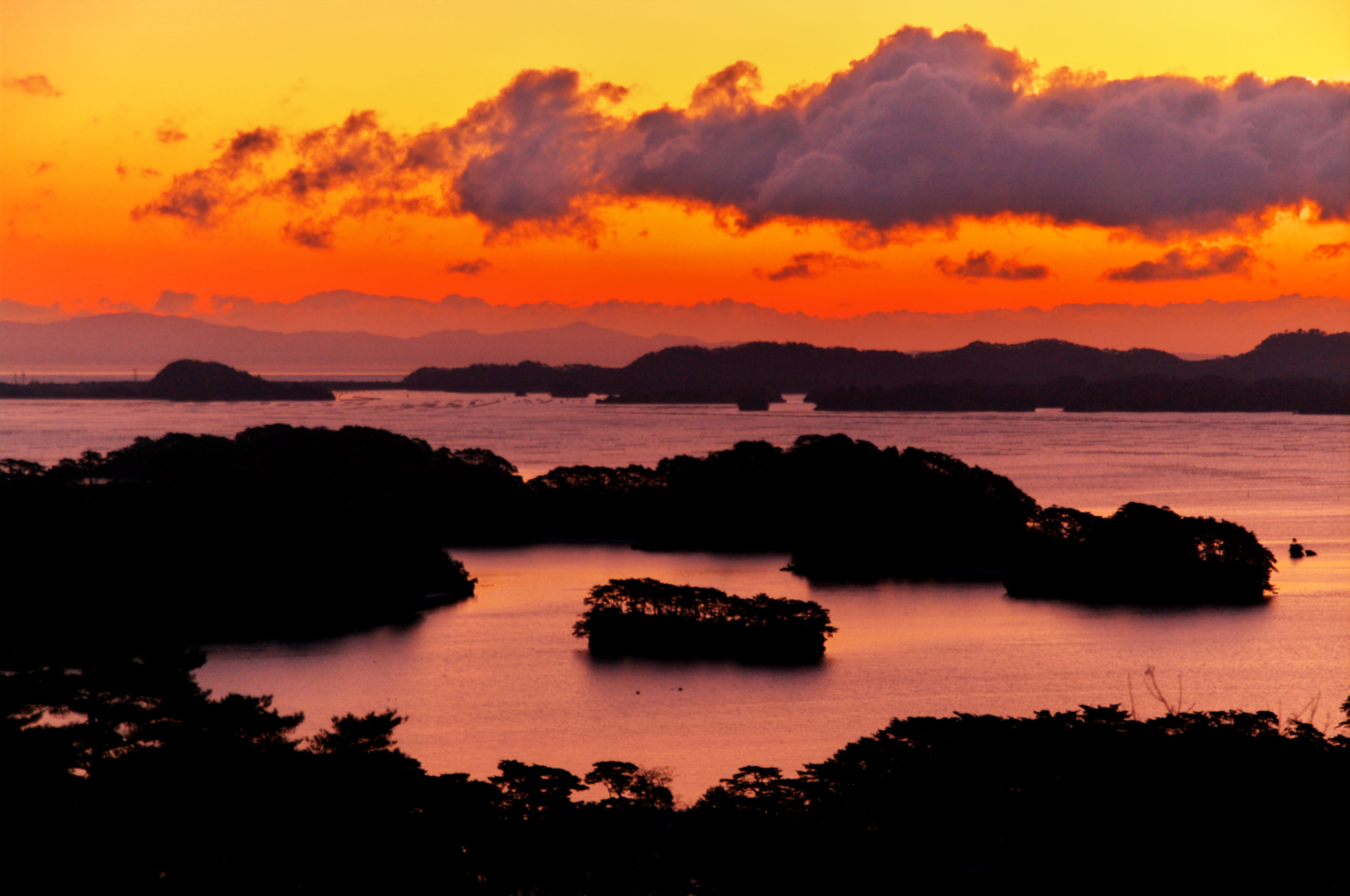 Pine islands: In Marion Poschmann's new novel, German Gilbert Silvester follows haiku poet Matsuo Basho's route to the rugged coast of Matsushima. | GETTY IMAGES