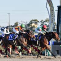 Chrysoberyl (right), ridden by Yutaka Take, crosses the finish line ahead of Gold Dream (center) and Inti to win the Champions Cup on Sunday in Toyoake, Aichi Prefecture. | KYODO