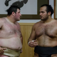 Zaza talks to Osunaarashi during an Aug. 29, 2012 training session at Otake stable. | JOHN GUNNING