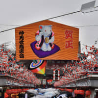 A giant ema &#8212; a traditional Shinto plaque &#8212; hangs above the crowd in Nakamise shopping street, which leads to Sensoji temple in the Asakusa district of Tokyo, on Monday. The Chinese zodiac animal for the coming year is the rat. | YOSHIAKI MIURA