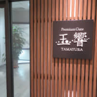 Premium Gate Tamayura is where the rich and famous enter a small, quiet lounge with an adjoining area for customs and immigration services they can breeze through before boarding their private jets. | ERIC JOHNSTON