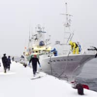 The Shoyo Maru No. 68 returns to a port in Nemuro, Hokkaido, on Monday after being released by Russian authorities. | KYODO
