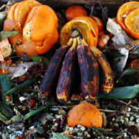 Piling up: Rotten food can be used for compost, but a lot of it just gets thrown away. | GETTY IMAGES