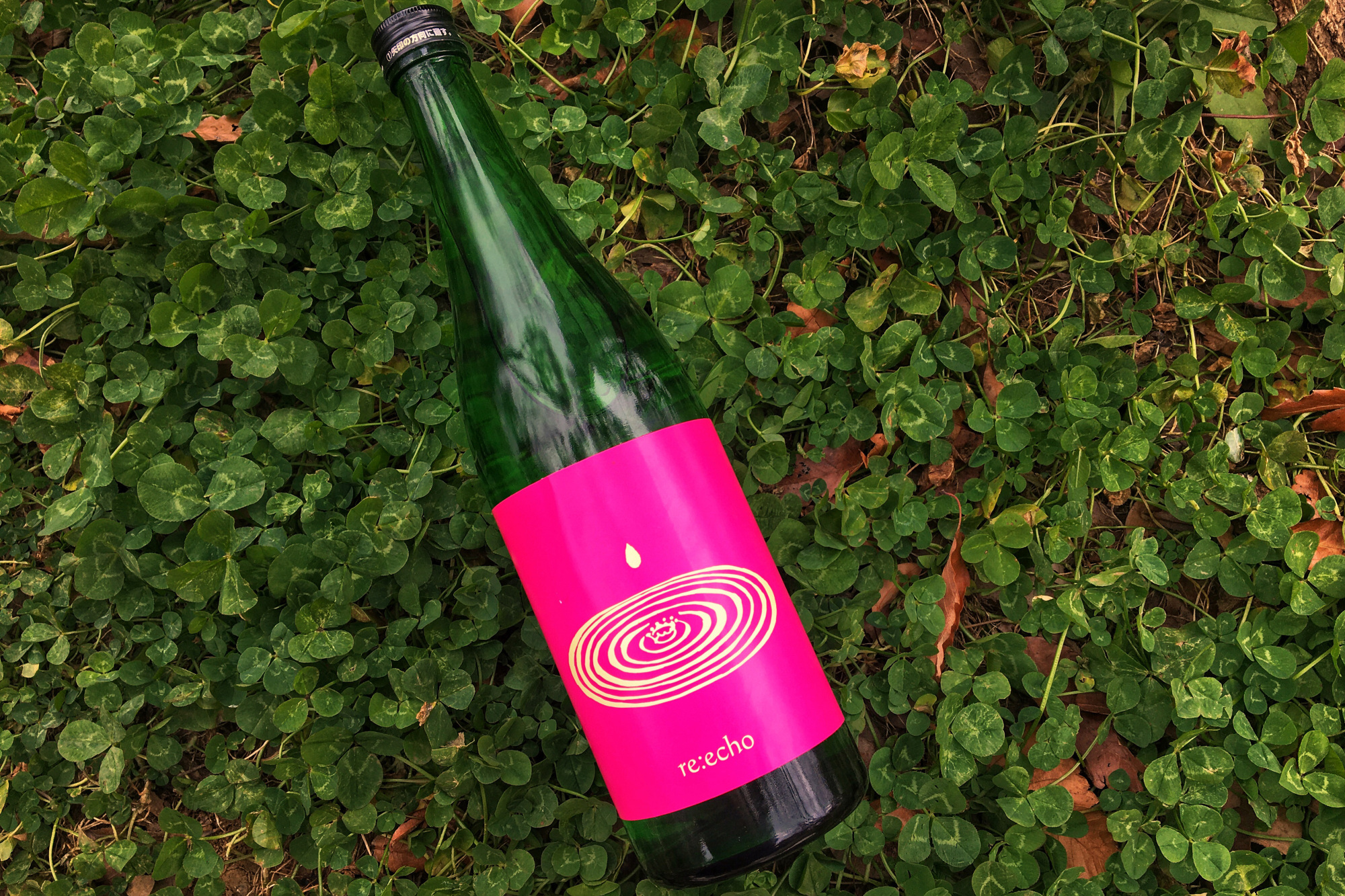 Have you heard?: Re-echo sake was created by a team of eight young brewers, all in their 20s and 30s. | MELINDA JOE
