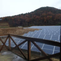 Apollo Gas employee Naoto Watanabe on a tour around a solar farm near the city of Fukushima. | ALEX MARTIN