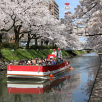 One of tsunagu Japan\'s articles recommends a cruise on the Matsukawa river in Toyama Prefecture. | &#169;TSUNAGU JAPAN