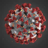 The COVID-19 coronavirus is seen in an illustration. | CDC / VIA AP