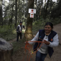 Reserve workers cordon off a path to limit how close visitors can approach the winter nesting grounds of monarch butterflies in El Rosario Sanctuary, near Ocampo in Mexico\'s Michoacan state, on Friday. | AP
