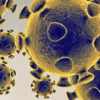 This illustration shows the novel coronavirus COVID-19. | U.S. FDA / VIA AFP-JIJI