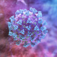 A model of a betacoronavirus, a type of virus linked to COVID-19 | NEXU SCIENCE COMMUNICATION / VIA REUTERS